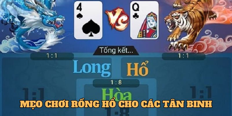 Hướng Dẫn Chơi Rồng Hổ Chi Tiết, Dành Riêng Cho Tân Binh 